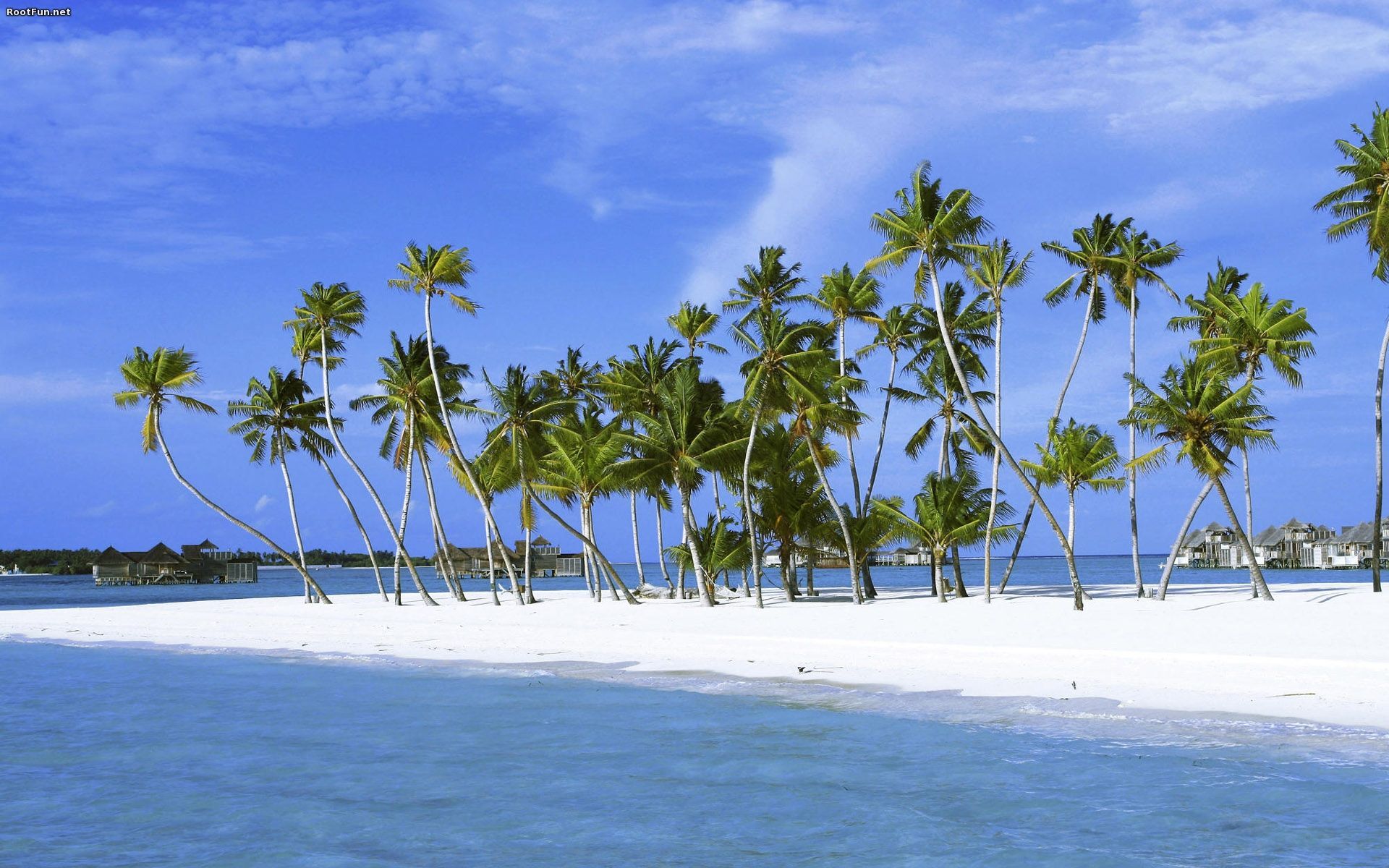 Tropical beach resort background